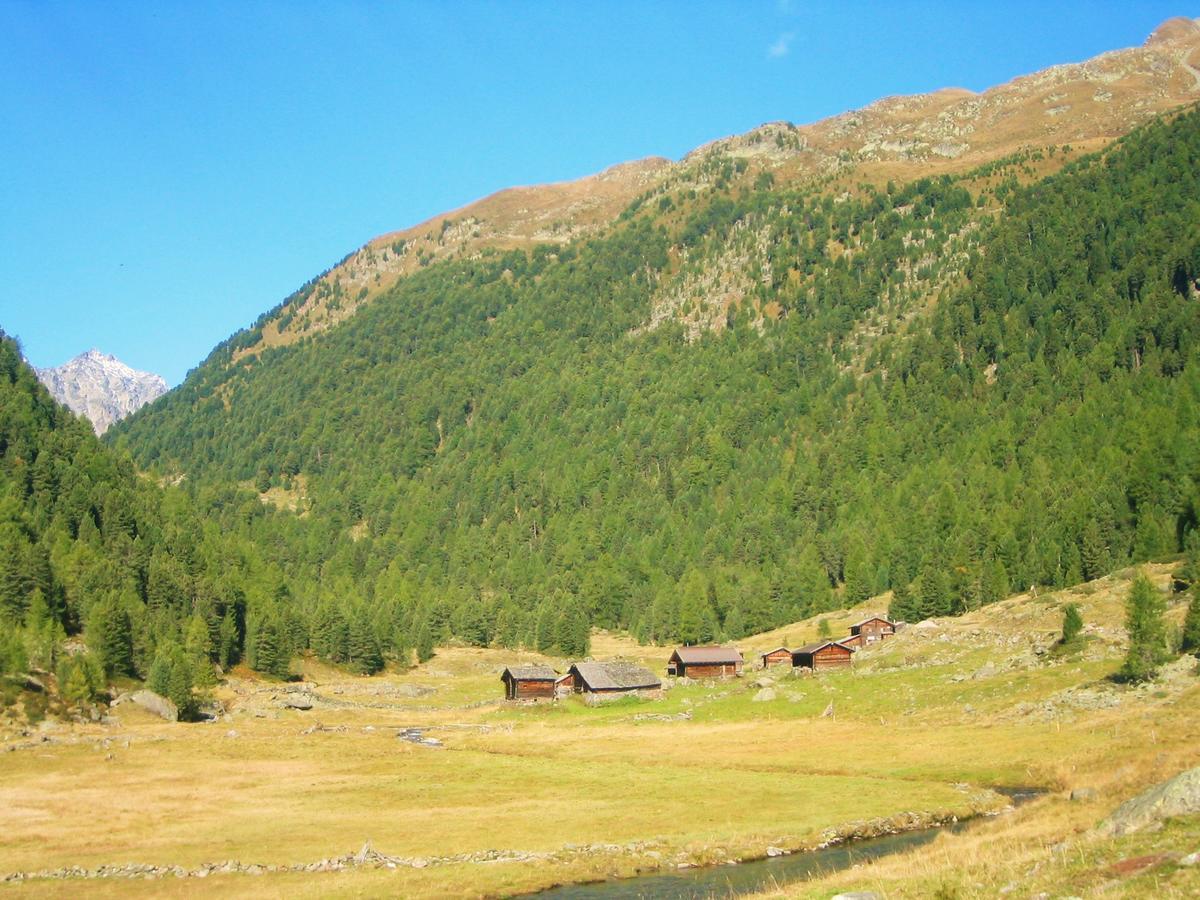 Ledererhof Apartments Sankt Jakob in Defereggen Dış mekan fotoğraf